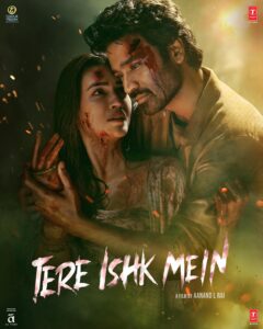 Download Tere Ishk Mein (2025) NF WEB-DL Hindi Movie (DD 5.1) 480p & 720p & 1080p & 4K 2160p ESub