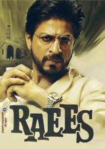 Download Raees (2017) BluRay Hindi Movie (DD 5.1) 480p & 720p & 1080p ESub